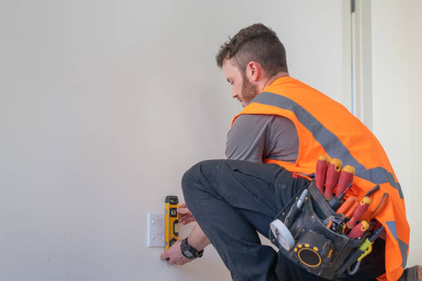 Best Electric Panel Repair  in Mitchell, NE